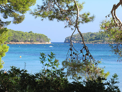 Fotos Der Strand von Formentor