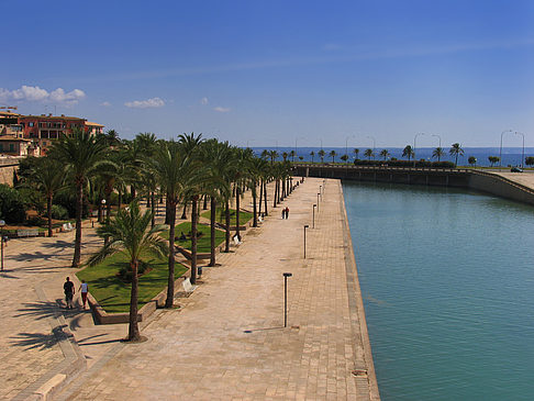 Fotos Blick von der Mauer der La Seu | Palma de Maljorka