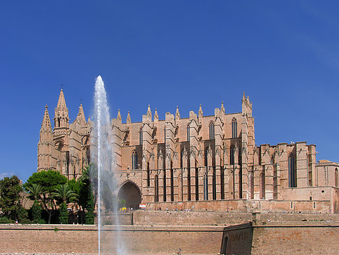 Foto Die Kathedrale - Palma de Maljorka