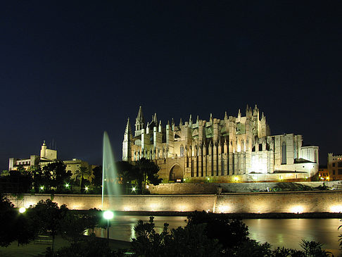 La Seu mit Fontäne Fotos