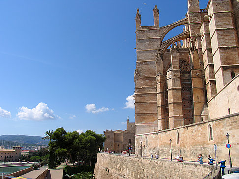 Fotos Vorbei an der La Seu | Palma de Maljorka