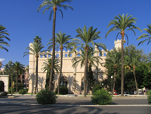 La Llotja Foto 