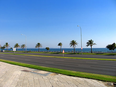 Foto Auf den Straßen von Palma