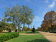 Foto Parkanlage und Wege im Parc Ciutadella